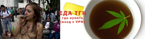 тгк Абаза