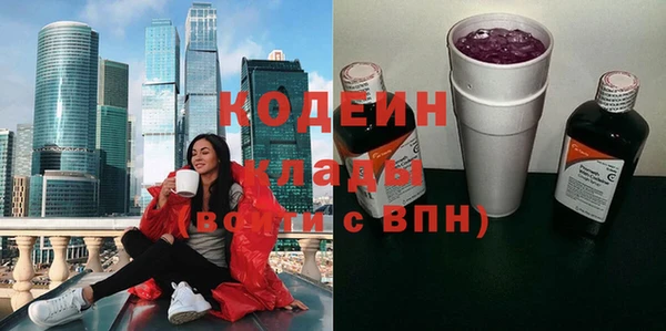 молекула духа Алзамай